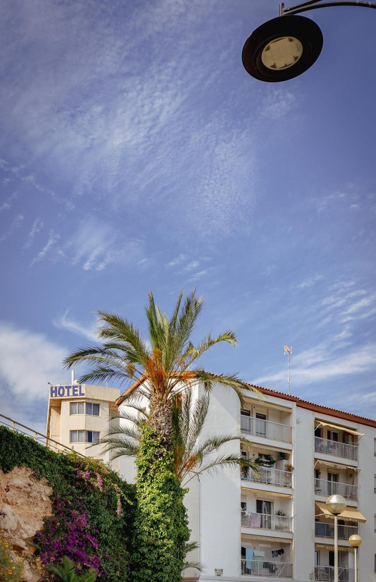 Hotel Alguer ラメトリャ・デ・マール エクステリア 写真